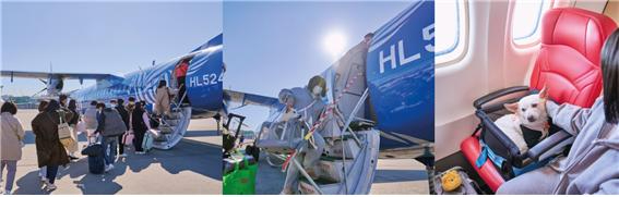 하이에어그룹이 국내 유일의 반려동물 전세기 예약 플랫폼 '펫 엔젤'을 출시했다. [사진=하이에어그룹]