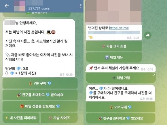 최근 여학생, 여군, 여교사 등을 대상으로 한 '텔레그램 딥페이크' 제작·유포 논란이 계속되는 가운데 피해 학교 중 서울 강남지역 중·고등학교도 있다는 의혹이 제기돼 강남 학부모들이 우려의 목소리를 내고 있다. 사진은 온라인 커뮤니티 발췌. [사진=온라인 커뮤니티]