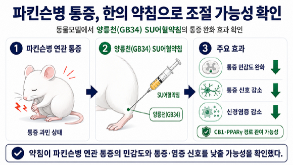 뇌신경 질환 중 하나인 파킨슨병 통증에 약침이 효과가 있다는 연구 결과가 나왔다. [사진=한의학연]