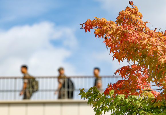 맑은 초가을 날씨를 보인 14일 서울 용산구 노들섬에 단풍이 물들고 있다. 2025.9.14 [사진=연합뉴스]