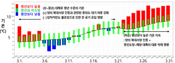서울 영등포구 여의도 윤중로에 벚꽃이 활짝 폈다. [사진=연합뉴스]