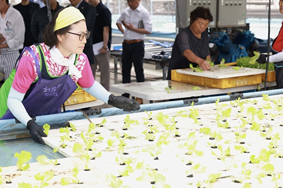 충북도가 농림축산식품부 주관 ‘지역특화 임대형 스마트팜 조성’ 공모사업에 선정됐다. [사진=충북도]