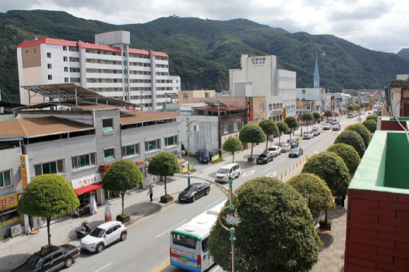 충북 단양군 단양읍 복자기나무 길 [사진=산림청]