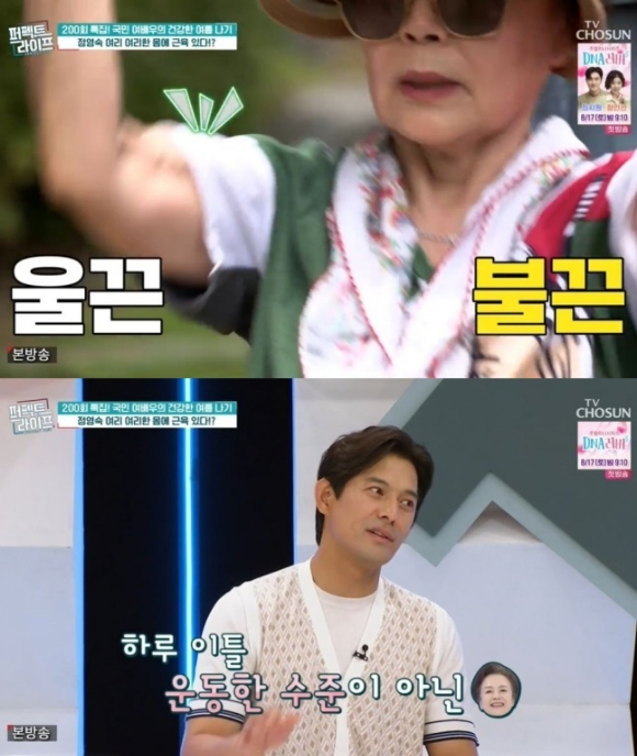 퍼펙트 라이프 [사진=TV조선]