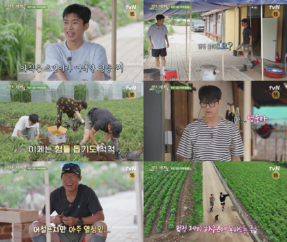 '삼시세끼 Light'가 임영웅 효과를 얻었다. [사진=tvN]