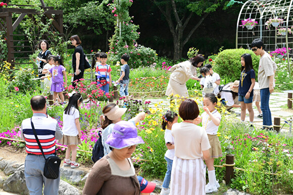 지난 2019년 당시 곤충 페스티벌 전경 [사진=동구청]