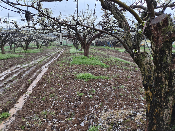 스레드 @cheon504, @choigos2 [사진=스레드 캡처]