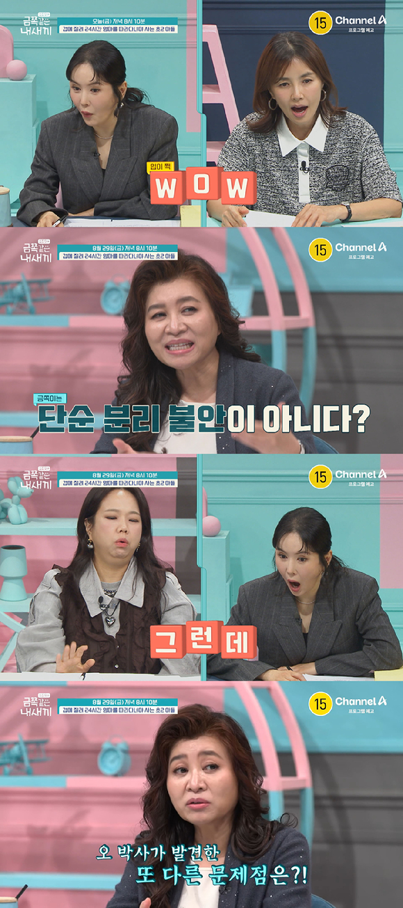 금쪽같은 내새끼 [사진=채널A ]