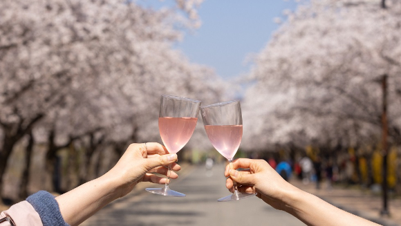 벚꽃이 만개한 길 위에서 샴페인을 들고 있는 모습. [사진=이랜드파크]