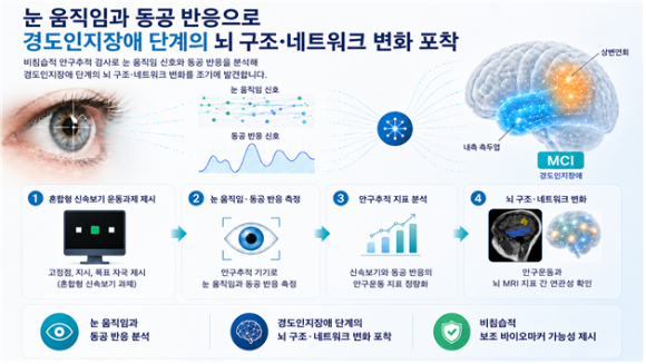 안구추적 기술, 치매 조기 탐지 보조지표 활용 가능 外 [과학게시판]