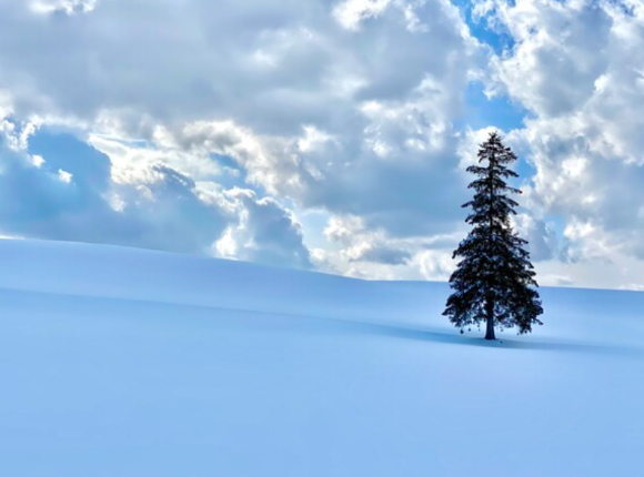 사진은 본 기사 내용과 무관. [사진=조은수 기자]