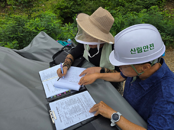 산림사업장에서 안전점검을 실시하고 있다 [사진=산림청 ]