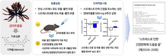 수면 개선·스트레스 완화에 감태 좋아 外 [과학게시판]