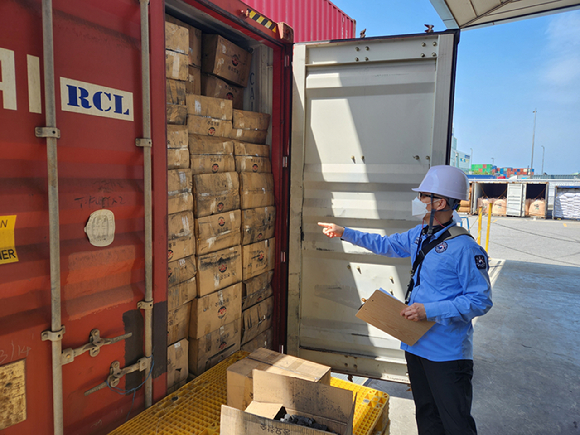 수입목재제품 통관검사를 하고 있다. [사진=산림청]