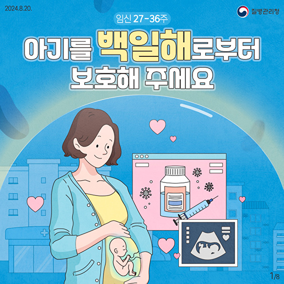 백일해 예방접종 포스터 [사진=안성시]