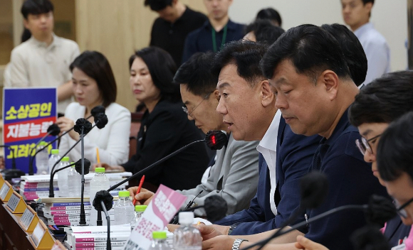지난 18일 정부세종청사 최저임금위원회에서 열린 제7차 전원회의에서 사용자위원인 류기정 한국경영자총협회(경총) 전무가 발언하고 있다. [사진=연합뉴스]