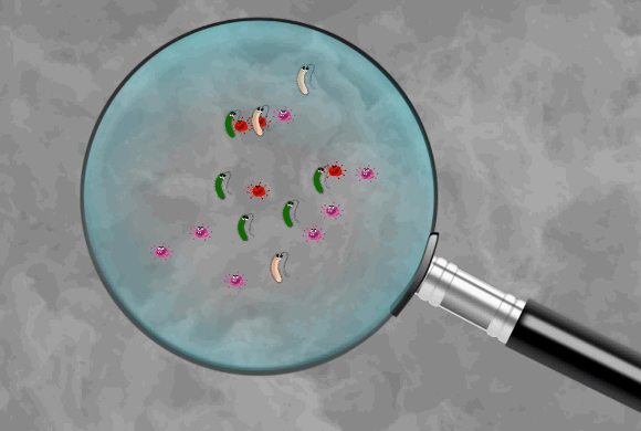 사진은 설거지 이미지로, 본 기사 내용과 무관. [사진=픽셀스]