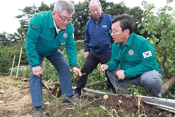 지난 6일 오전 김학동 예천군수(왼쪽)와 김형동 국회의원, 이달호 예천농협 조합장(가운데)이 태풍 피해 현장인 효자면을 찾아 현장을 살펴보고 있다. [사진=김형동 의원 페이스북]