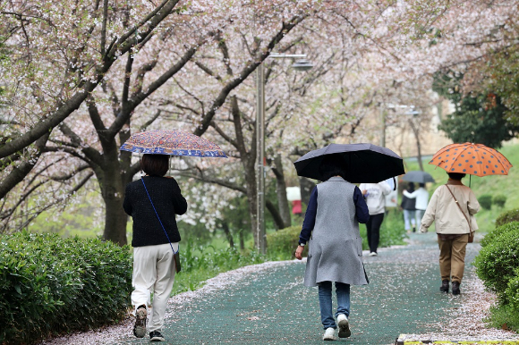 광주 북구 양산호수공원에서 시민들이 내리는 비에 우산을 쓰고 산책하고 있다. [사진=연합뉴스]