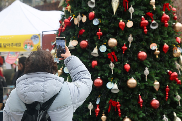 크리스마스를 하루 앞두고 서울 중구 명동대성당 앞에 크리스마스 트리가 설치돼있다. [사진=연합뉴스]
