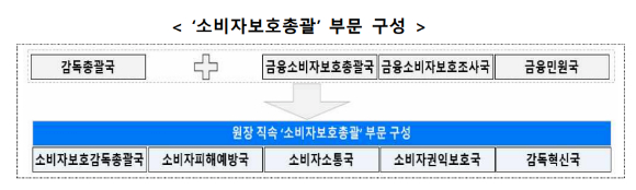 [그림=금융감독원]