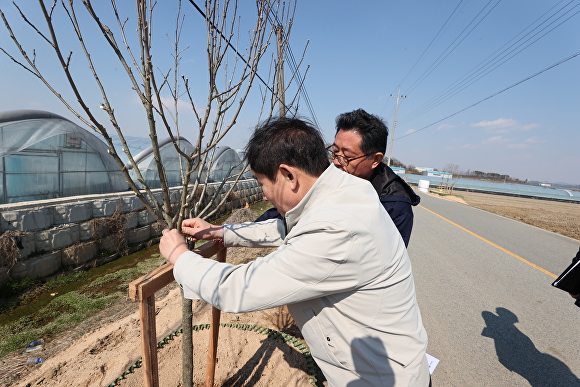 진천군은 21일 진천읍 삼덕리 1353~1392번지 일원 보재 이상설 기념관 진입 도로 750m 구간에 군민과 함께 무궁화 길을 만들었다. [사진=진천군]