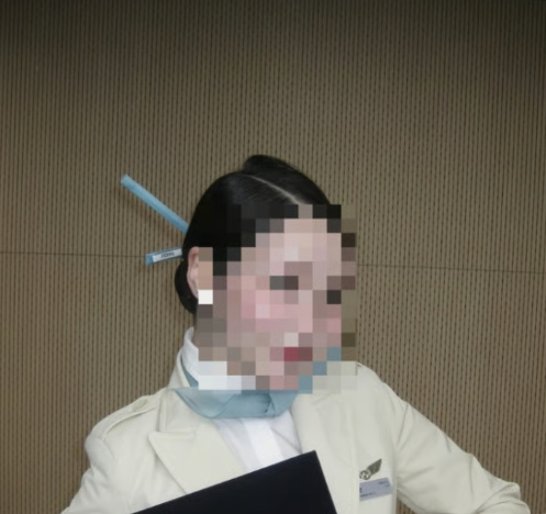 대한항공에서 근무했던 태국인 승무원의 퇴사 소회를 담은 게시물이 일부 한국 누리꾼들의 악성 댓글로 얼룩지며 논란이 커지고 있다. 해당 사진. [사진=인스타그램 갈무리]