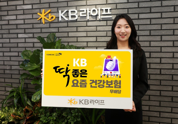 [사진=KB라이프]