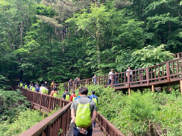 2일 국립산림치유원에서 진행된 특수진화대원 대상 소진 회복 산림치유 프로그램. 참석자들이 녹음을 즐기고 있다. [사진=한국산림복지진흥원]