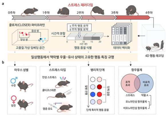 AI 기반 일상행동 분석 프로그램 클로저(CLOSER)를 활용한 정신질환 탐지 과정. [사진=KAIST]