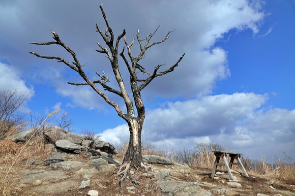 팔각정에서 바라본 겹겹한 산 [사진=박성기]