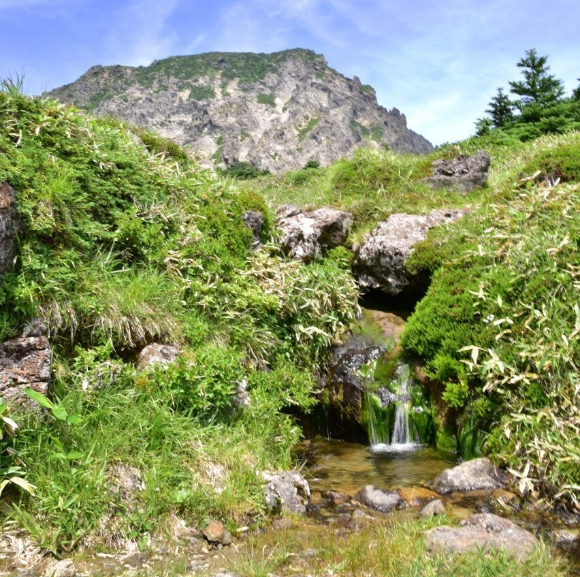 한라산 백록샘 [사진=제주도]
