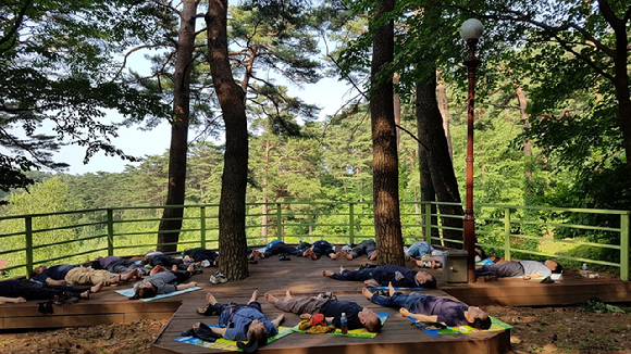 산림청 산하 국립자연휴양림관리소가 전국 45개 국립자연휴양림에서 산림교육·치유프로그램을 본격 운영한다. [사진=산림청/국립자연휴양림관리소]