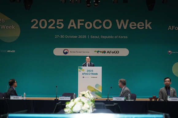 김인호 산림청장이 29일 서울_상암DMC에서 열린 제13차 아시아산림협력기구(AFoCO) 총회에서 '아시아 산불역량 강화사업' 출범식에 참석해 인사말을 하고 있다. [사진=산림청 ]