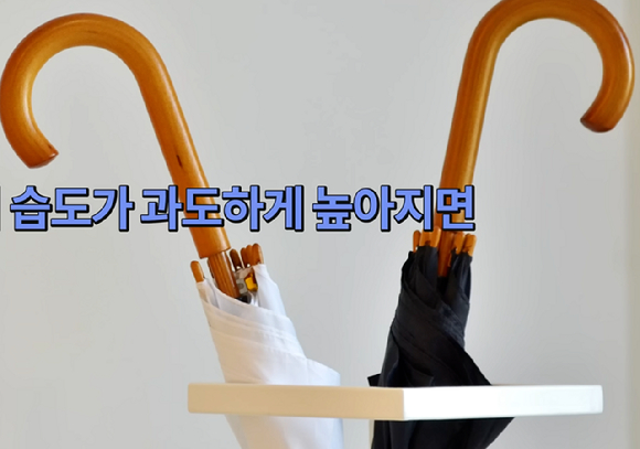 현관에 무심코 방치한 물건들이 일상 속 건강 위험 요인이 될 수 있다는 전문가의 설명이 나왔다. 사진은 본 기사 내용과 무관. [사진=픽사베이]