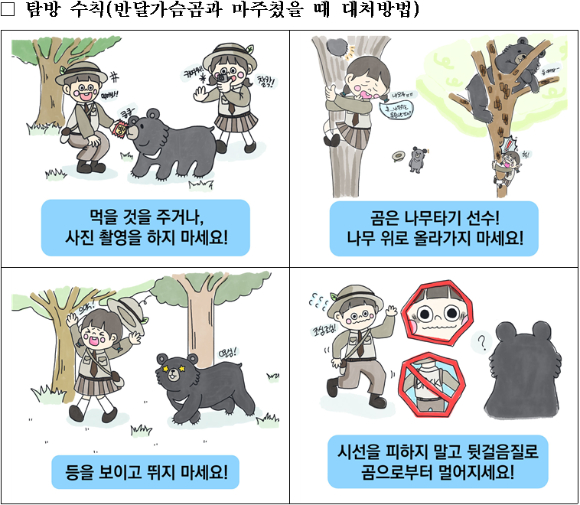 지리산에서 곰과 마주쳤을 때의 대처법이 공개됐다. 사진은 본 기사 내용과 무관. [사진=위키피디아]