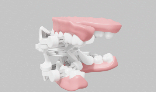 일본에서 입에 물기만 하면 자동으로 양치가 이뤄지는 '구강 관리 로봇'이 개발돼 이목을 끌고 있다. [사진=g.eN/kibidango]
