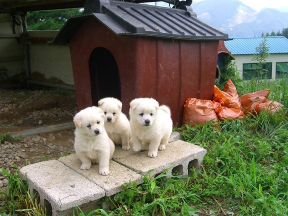 예비 시부모가 농촌에 거주한다는 이유로 결혼을 반대하는 친정 부모와 갈등을 겪고 있다는 사연이 알려졌다. 사진은 본 기사 내용과 무관. [사진=조은수 기자]