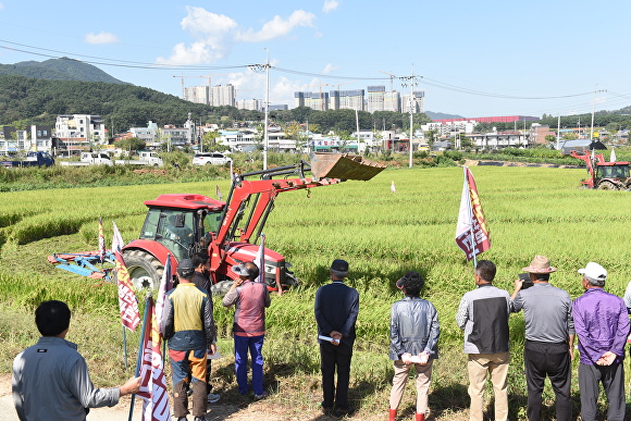 천안 농민들이 트랙터로 갈아 엎어지고 있는 논을 바라보고 있다. [사진=이숙종 기자]