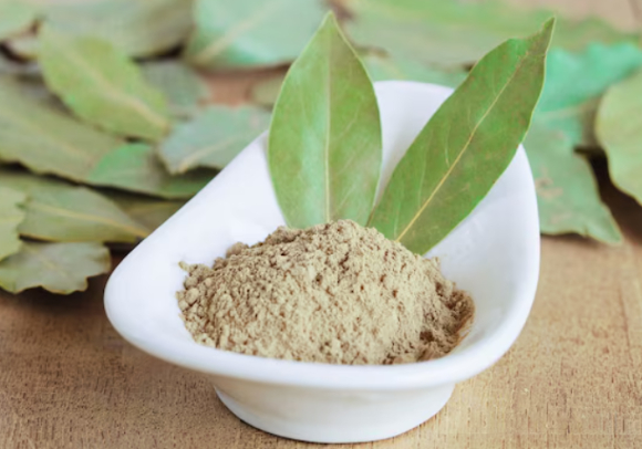 월계수 잎을 베개 밑에 넣고 수면에 취하는 방식이 해외 온라인 상에서 유행하고 있다. 사진은 본 기사 내용과 무관. [사진=픽사베이]