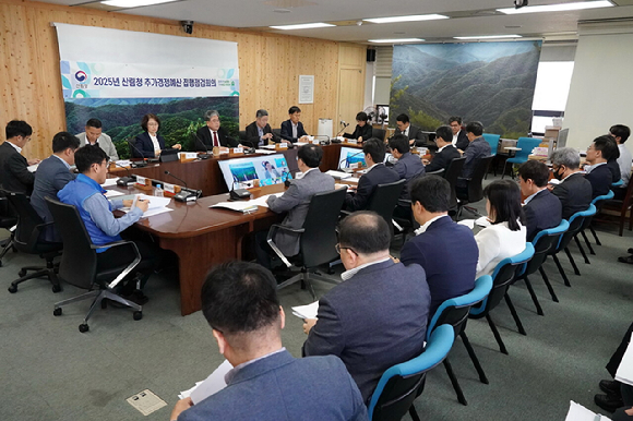 임상섭 산림청장(오른쪽에서 세번째)이 7일 정부대전청사에서 '2025년 추가경정예산 집행점검회의'를 주재하면서 산불피해지 복구와 산불예방에 대한 예산을 차질 없이 집행해 산불대응과 2차 피해 예방에 만전을 기할 것을 당부했다. [사진=산림청]