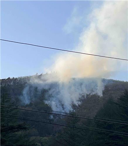 삼척 국유림서 산불 [강원특별자치도산불방지대책본부 제공] [사진=연합뉴스]