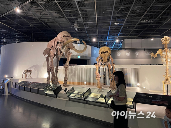 지난 17일 기자가 방문한 국립과천과학관의 모습. 나로우주센터를 구현한 모습. [사진=원성윤 기자]