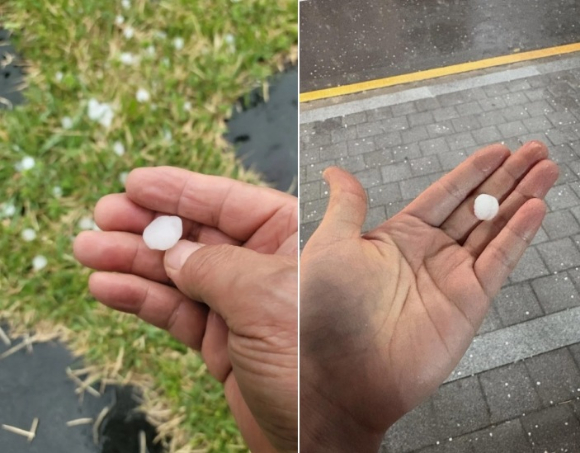 스레드 @cheon504, @choigos2 [사진=스레드 캡처]