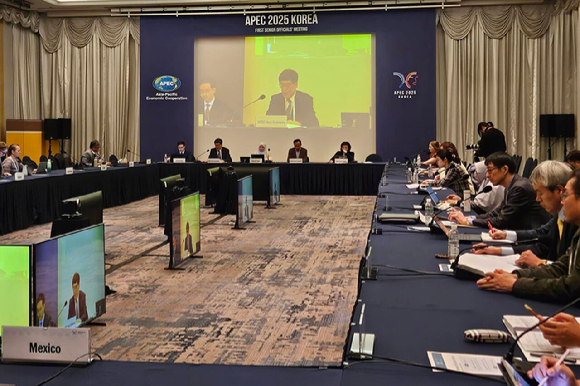 아시아태평양경제협력체(APEC) 산하의 '불법 벌채 및 관련 교역 전문가 회의(EGILAT)'가 열리고 있다. [사진=산림청]