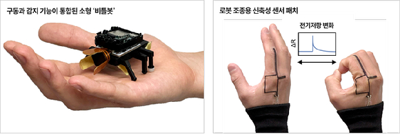 걷고, 감지하는 '딱정벌레 로봇' 外 [과학게시판]