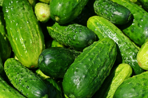 혈당과 신장 건강에 도움을 줄 수 있는 식단이 전문가 설명을 통해 나왔다. 사진은 AI 생성 이미지로, 본 기사 내용과 무관. [사진=챗GPT]