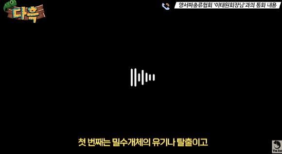 경남 사천에서 죽은 야생 악어가 발견돼 나와 눈길을 끌고 있다. [사진=유튜브 채널 '다흑']