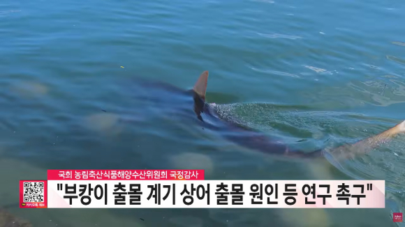 LG헬로비전, 국정감사 기획 '국감, 지역을 묻다' 선봬