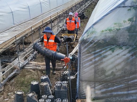 코아스는 최근 집중호우로 피해를 입은 지역사회를 돕기 위해 임직원 봉사활동과 물품 기부를 진행하며 ESG 경영 실천에 나섰다. 사진은 경기도 가평 상면의 수해 피해 농가를 찾아 비닐하우스 복구 작업에 참여한 모습. [사진=코아스]